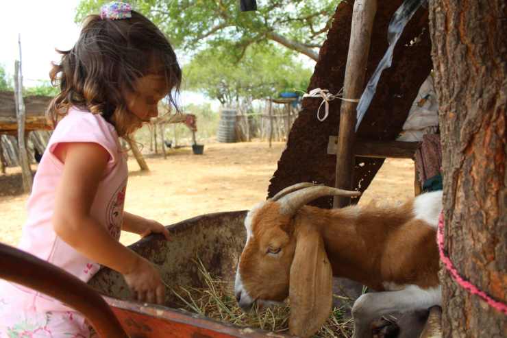niña comiendo cabra discapacitada