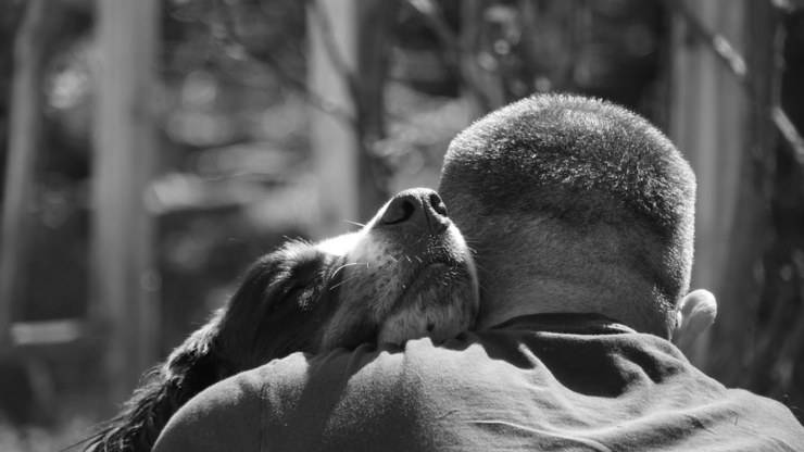 perro abraza al hombre