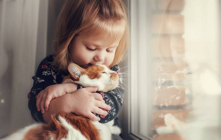 niña abraza gato