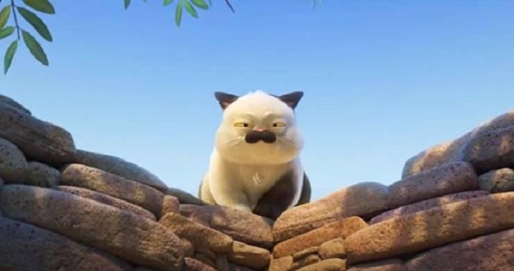 Gato maquiavelo