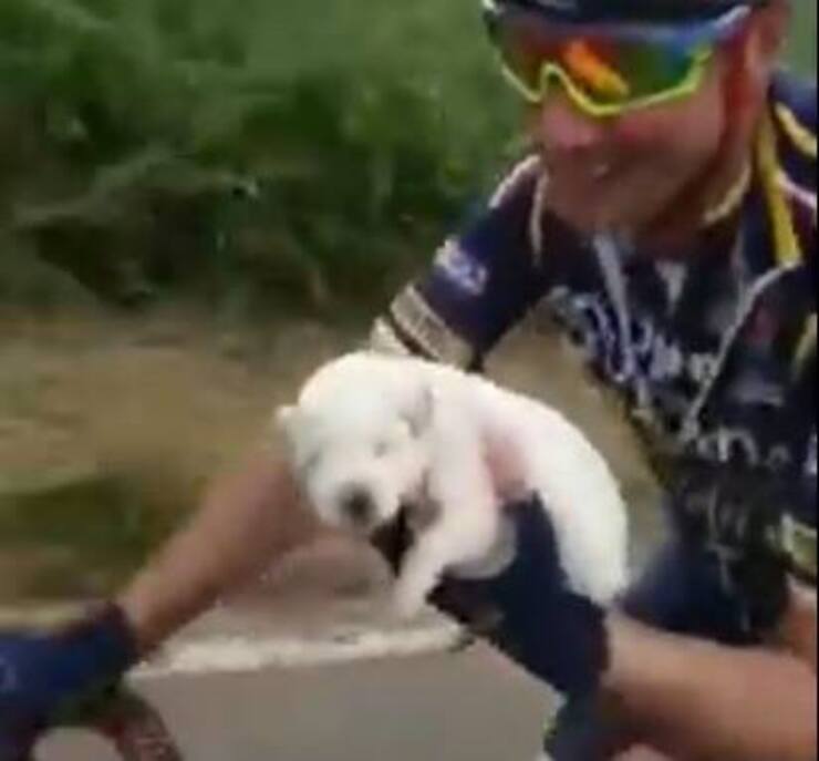 El cachorro salvado por el equipo Anagni Bike (Pantalla de video de Youtube)
