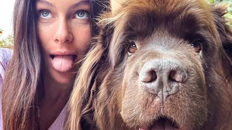 ¿Quiénes son Nadine y Gnomo, los perros de Paola Turani? Paola Turani y sus perros