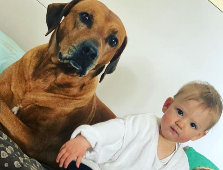 ¿Quién es Sprint, el perro de Alena Seredova? Sprint, el perro de Alena Seredova
