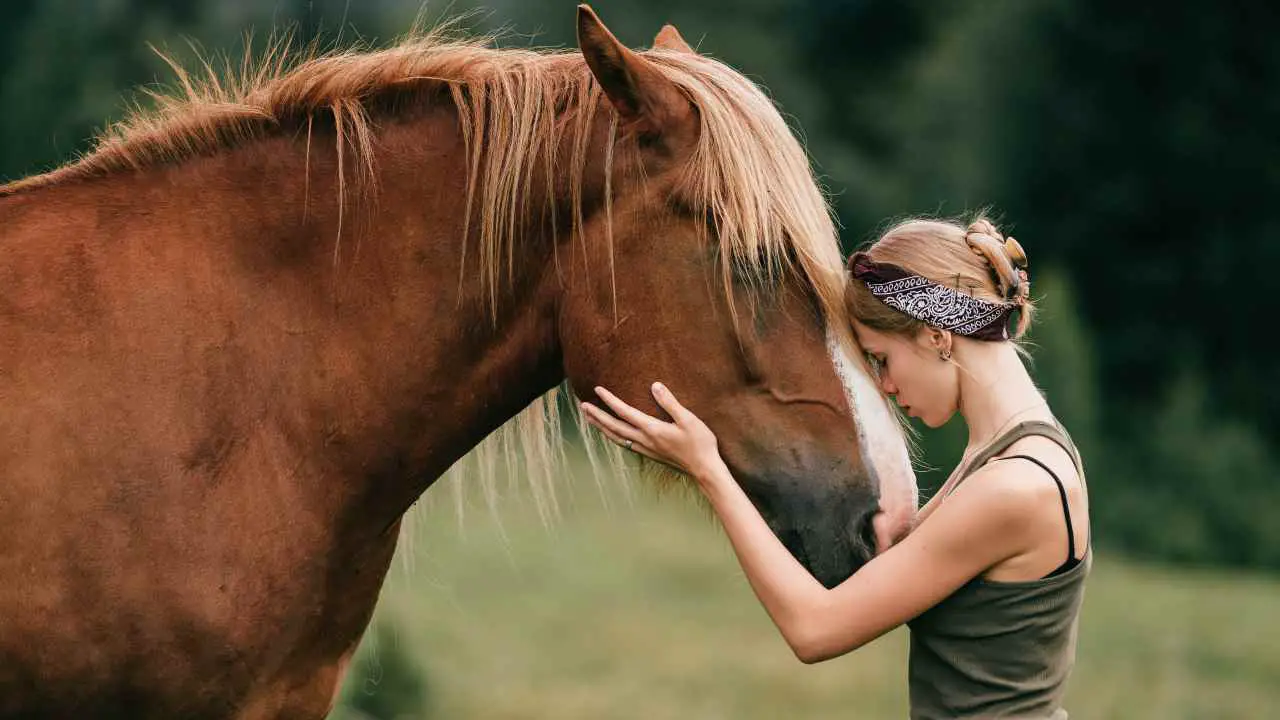Cómo superar la muerte del caballo