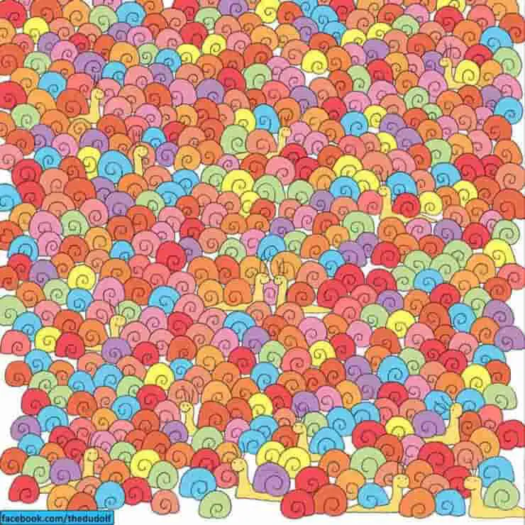 La prueba visual del corazón entre los caracoles 95% no logró resolverlo, ¿y tú? serás capaz?