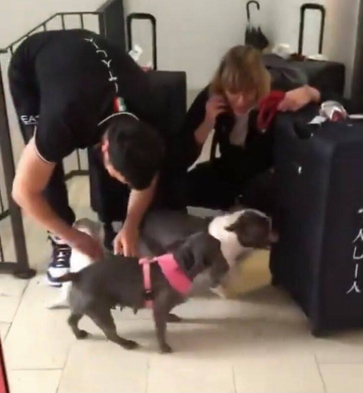 El regreso del nadador a Verona (Screen video Instagram)