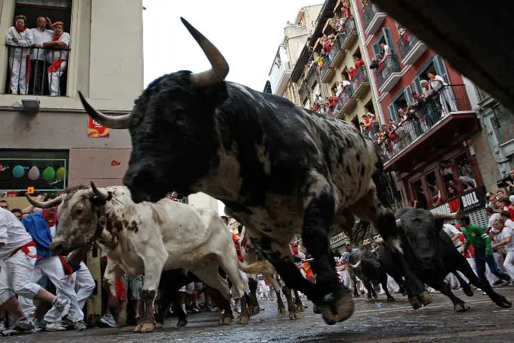 Diferencia entre toros y bueyes