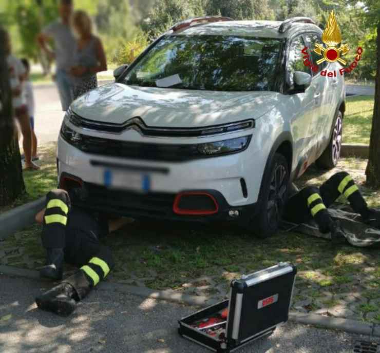 Departamento de bomberos del coche del guardabarros del gato