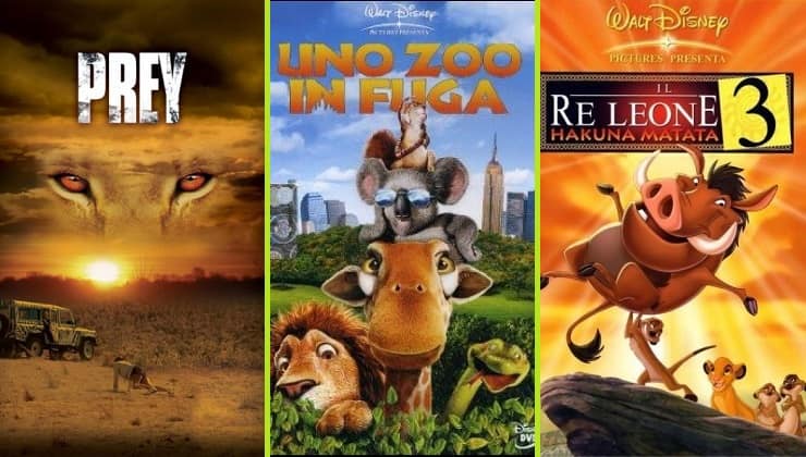 De Narnia al Rey León: todas las películas con leones - Vida con Mascotas  ▷➡️