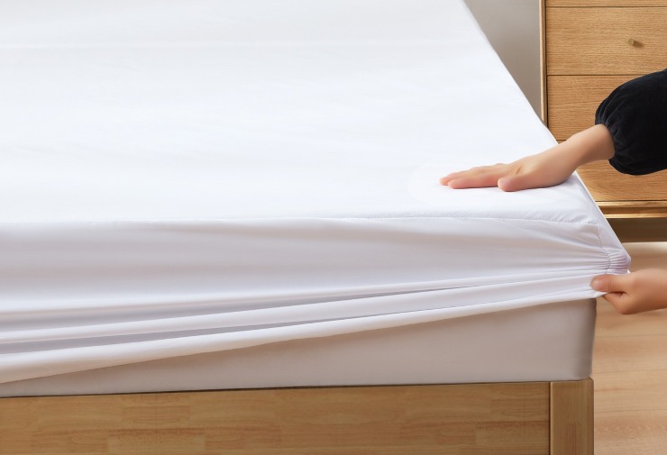 Ácaros de la cama