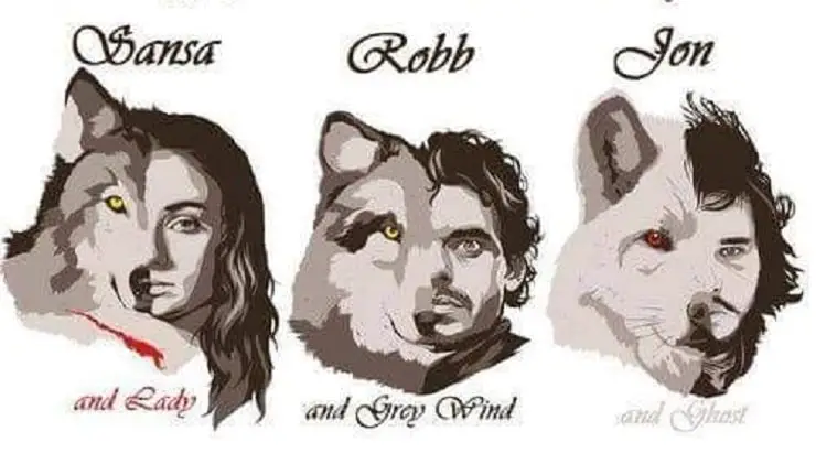 Lobo huargo Game of Thrones: raza, nombres, curiosidades, personaje de la  familia Stark - Vida con Mascotas ▷➡️