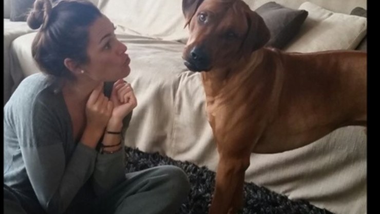 ¿Quién es Sprint, el perro de Alena Seredova? Alena Seredova y el perro Sprint