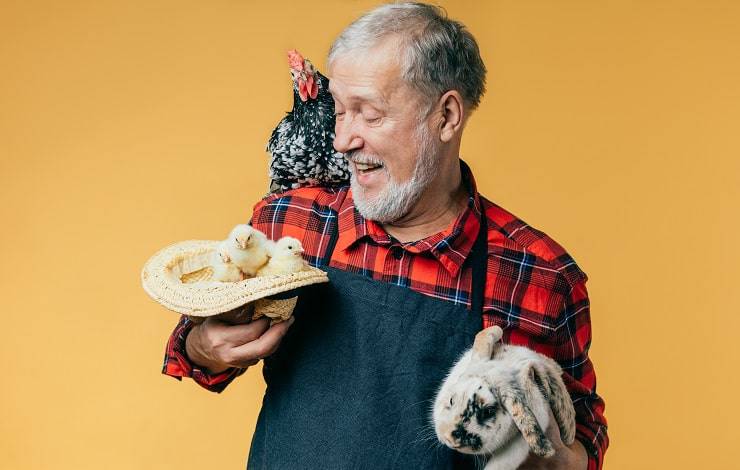 dia de los ancianos