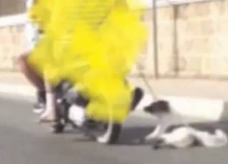 Allegra arrastrada sobre el asfalto (Pantalla video Facebook)