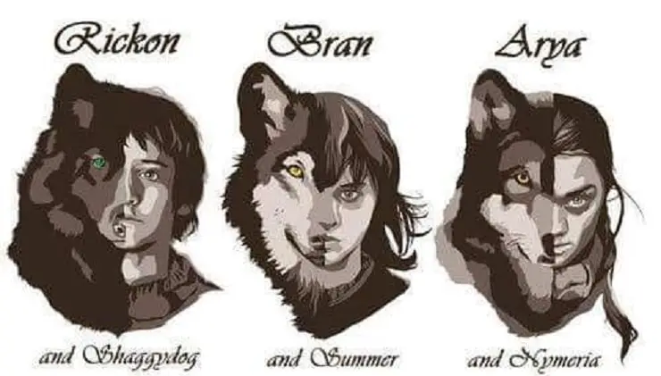 Inflar Burro una vez Lobo huargo Game of Thrones: raza, nombres, curiosidades, personaje de la  familia Stark - Vida con Mascotas ▷➡️