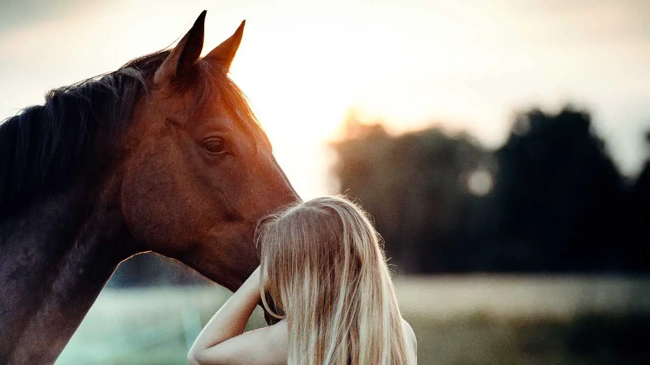 Abrazo entre caballo y niña Muerte repentina del caballo