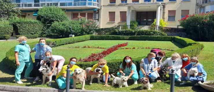 Proyecto de visita de mascotas en Burlo di Trieste (Pantalla de Facebook)
