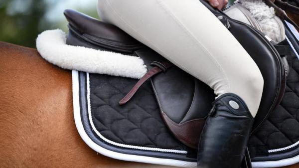Tipos de sillas de montar para caballos - Silla de salto