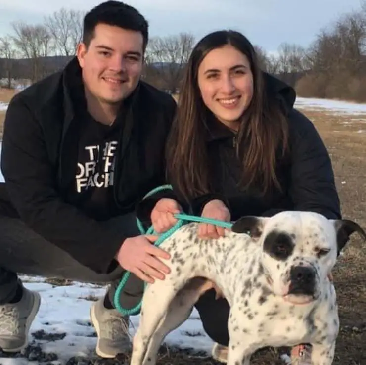 perrito San Valentín