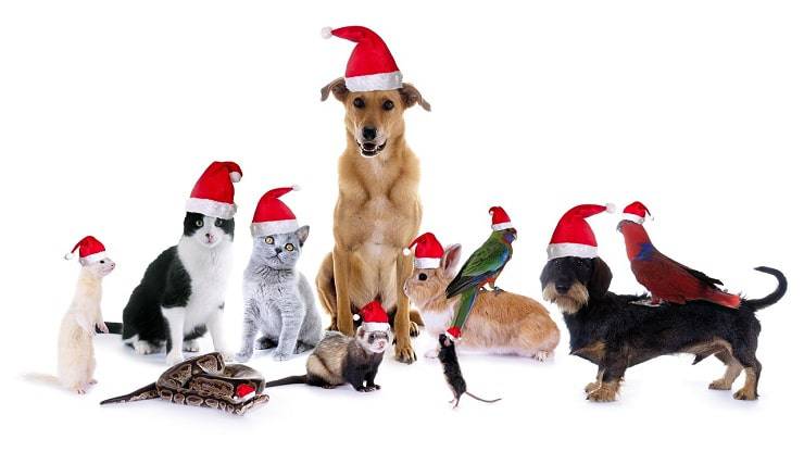 animales de navidad 2021