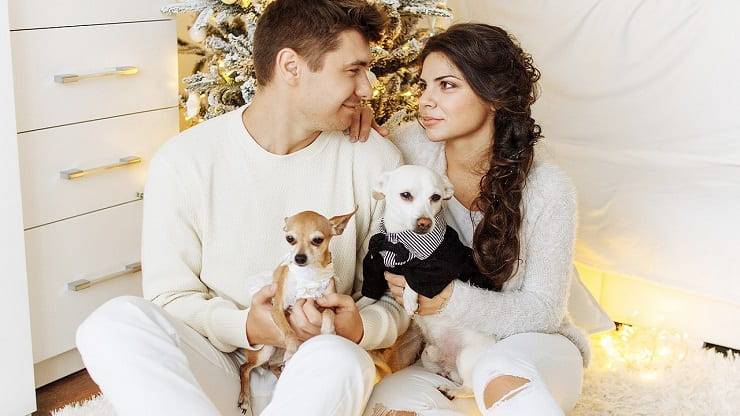 Regalos para amantes de los perros