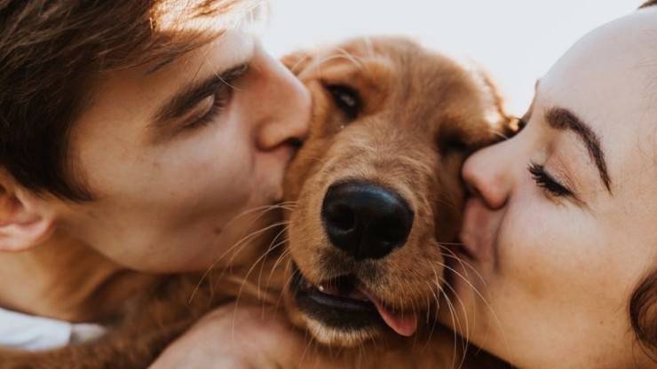 Perro junto con los dueños