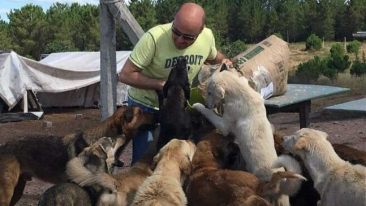 Hombre transforma la granja en refugio para animales discapacitados: nadie los quiere