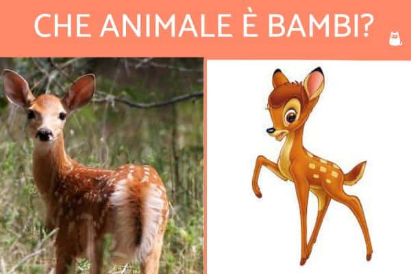 bambi que animal es?