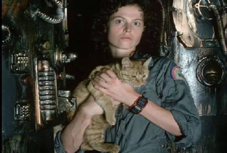 nombre de gato alienígena
