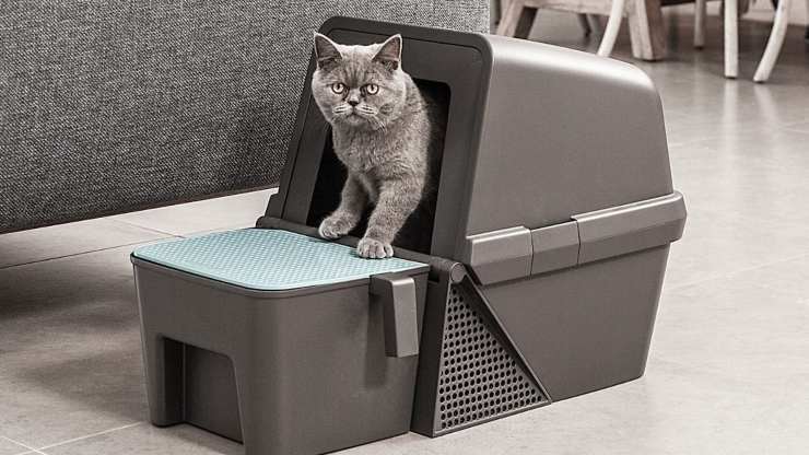 caja de arena autolimpiante