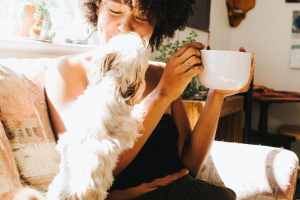 ¿Por qué los perros aman más a una persona? - ¿Los perros tienen una persona favorita?