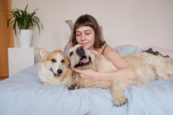 ¿Por qué los perros aman más a una persona? - ¿Por qué los perros se apegan más a una persona?