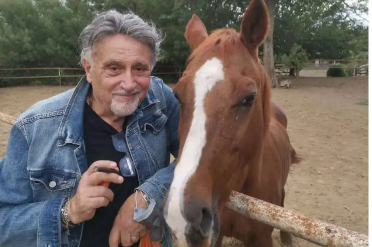 Andrea Roncato y los caballos