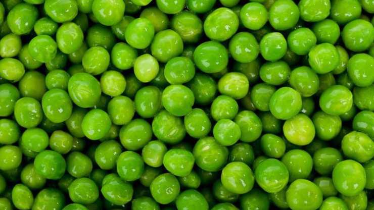 guisantes