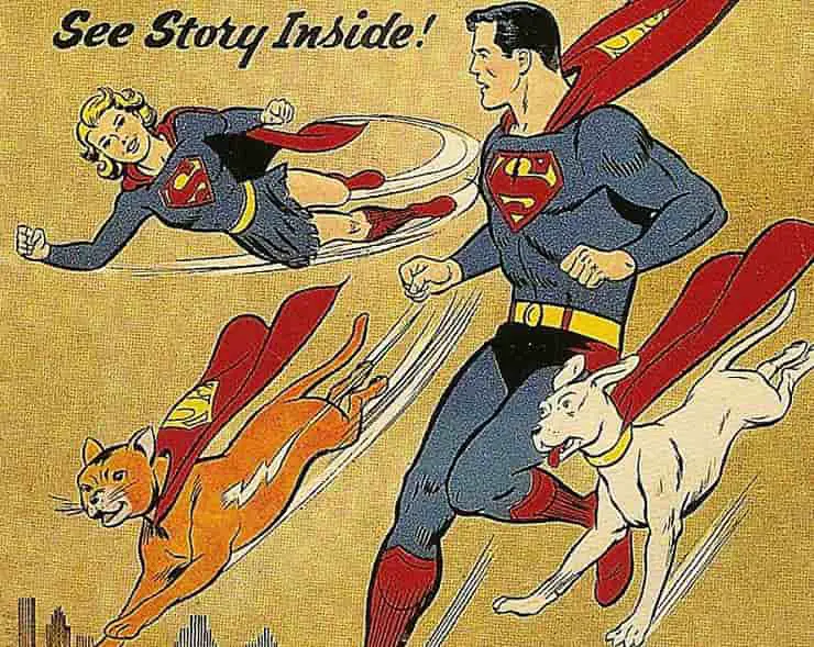 gato superman