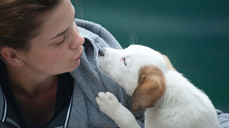 cachorro con mujer
