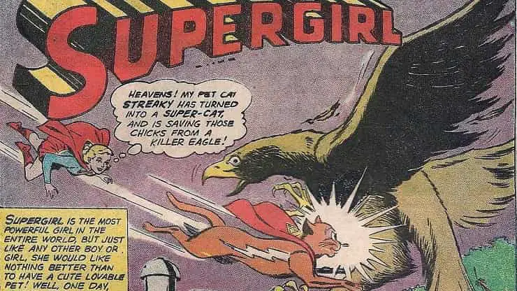 gato superchica