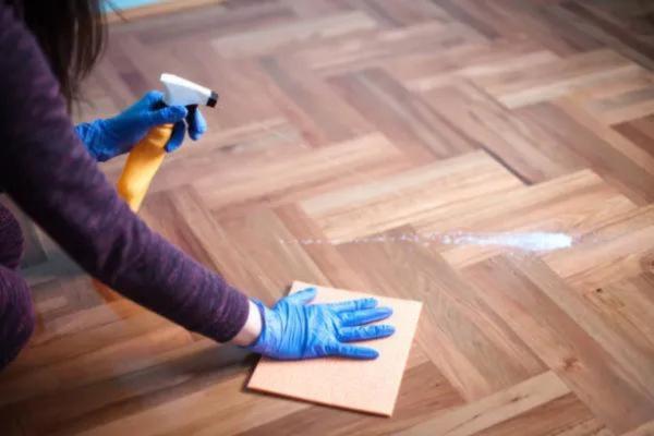 Consejos y trucos para que tu perro no orine en casa - 5. Limpia con productos específicos
