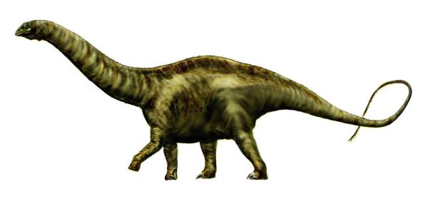 Dinosaurios de cuello largo - Características y ejemplos - Apatosaurus