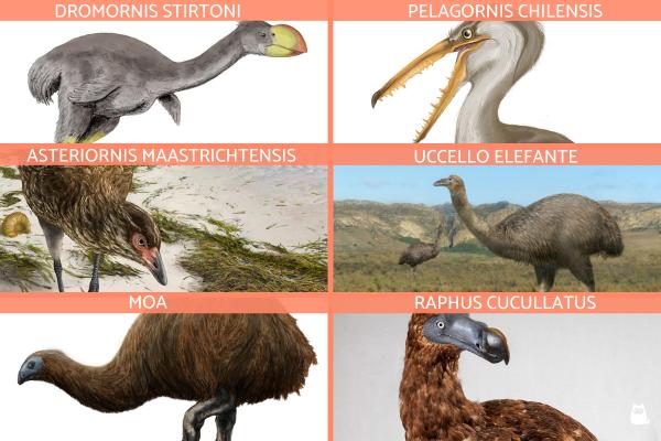 Aves prehistóricas extintas y vivas - Lista de aves prehistóricas extintas