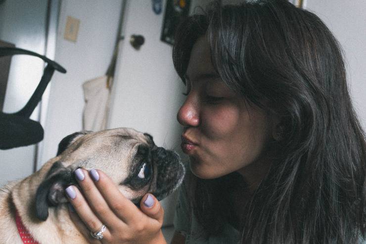 Ama besa al cachorro