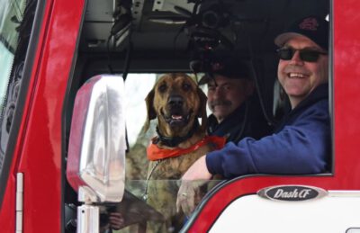 perro Clementine bombero heroína