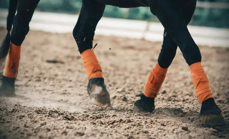 patas de caballo