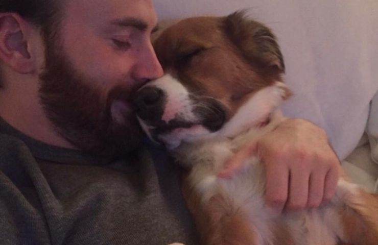 bastón chris evans