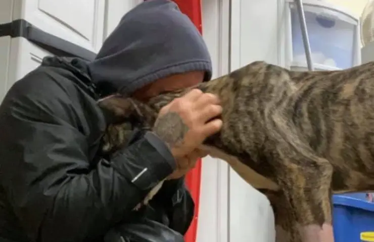 perro recibe premio