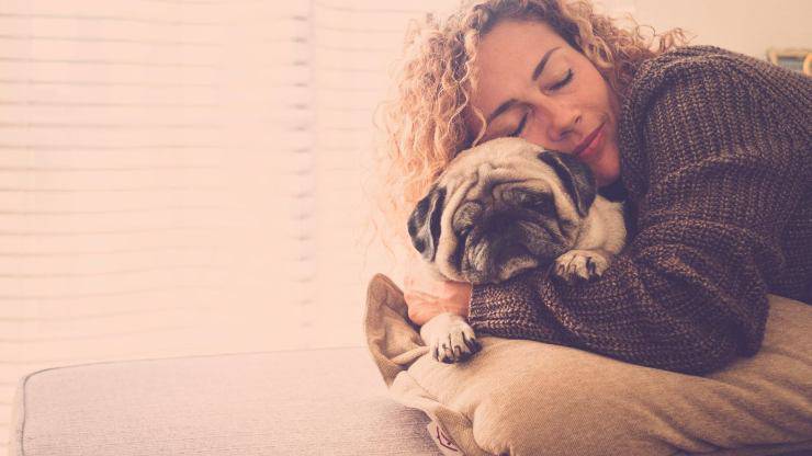 perro y amante