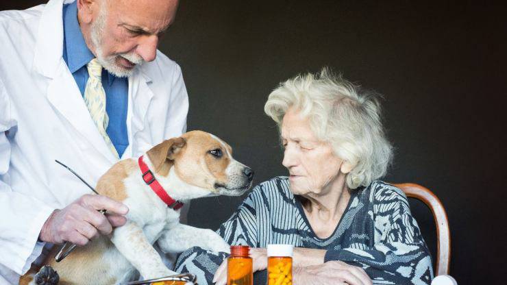 perro de terapia