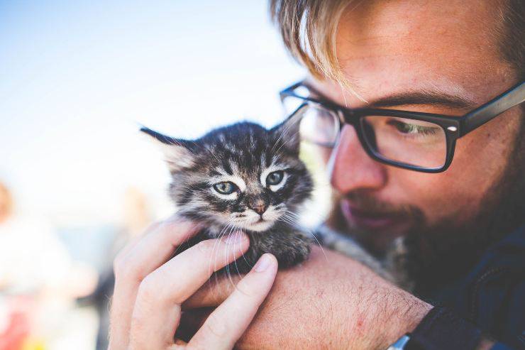 Kitty en manos del humano