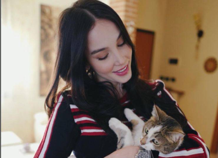 Paola Di Benedetto y sus gatos