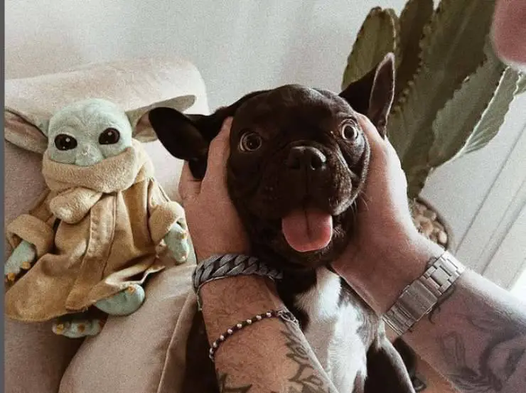 Andrea Cerioli y su perro